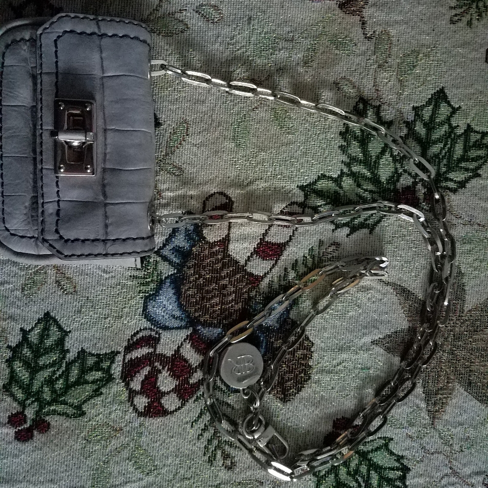 Banana Republic mini crossbody purse